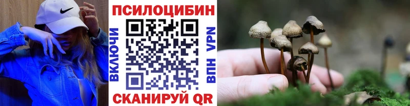 Галлюциногенные грибы Psilocybe  купить  сайты  omg как войти  Валдай 